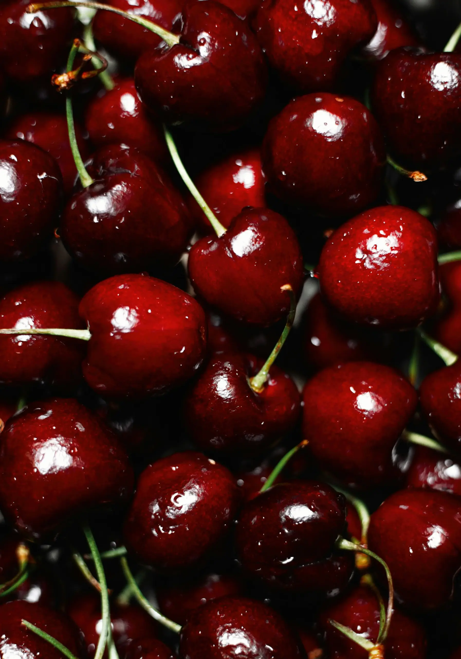 Location_portvendres_collioure_cerise_ceret Cerises de Céret, marché local à découvrir depuis la maison de location à Port-Vendres, Côte Vermeille