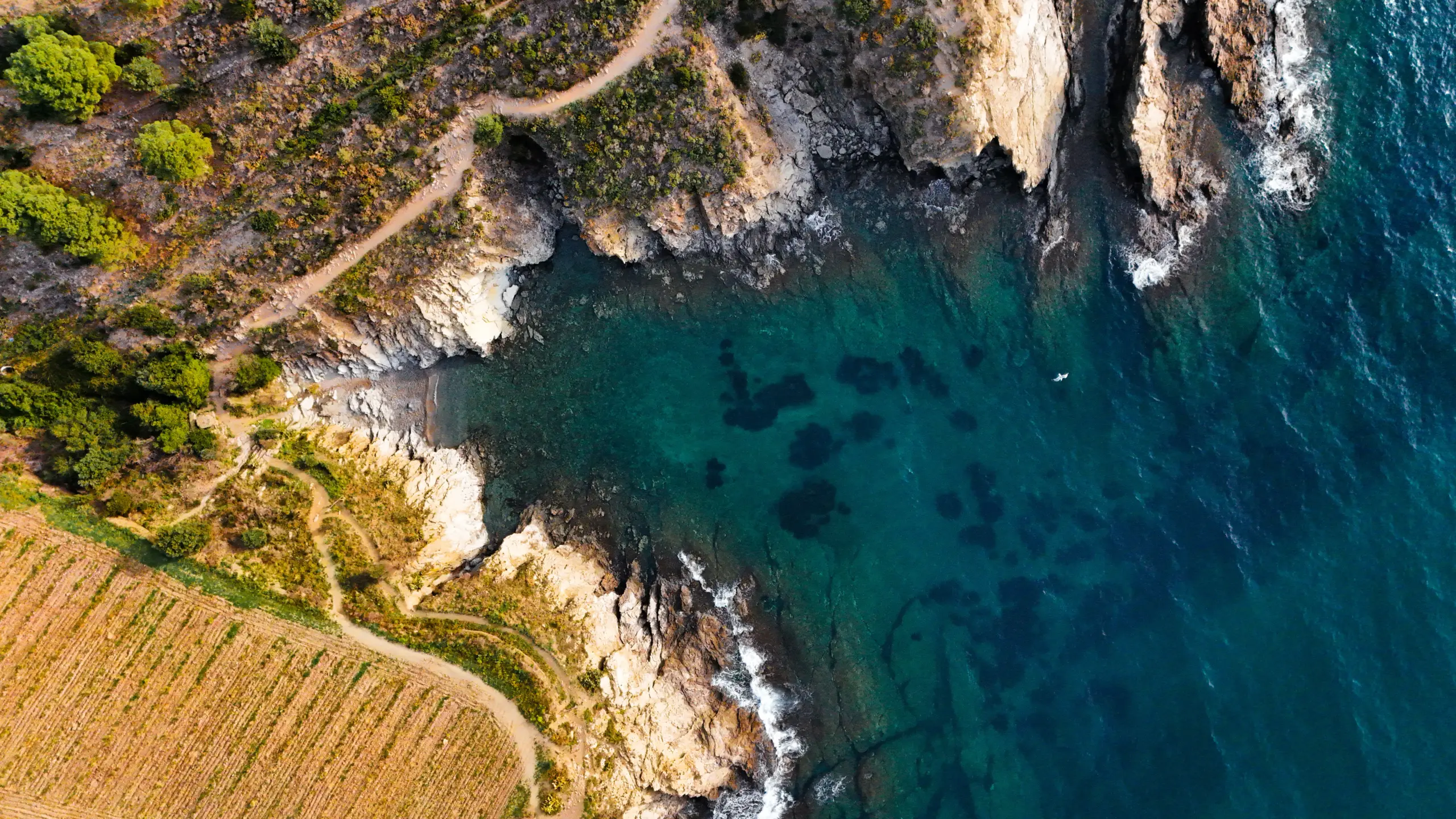 Vue aérienne d'une crique sauvage aux eaux turquoise sur la Côte Vermeille, randonnée depuis Port-Vendres