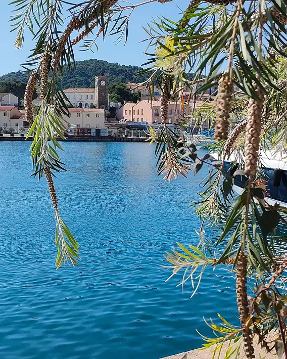 Vue sur le port de Port-Vendres depuis les quais, location idéale pour explorer la Côte Vermeille